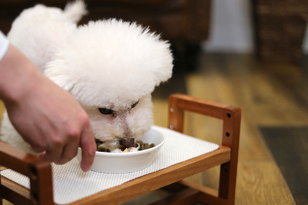 食事内容の見直し